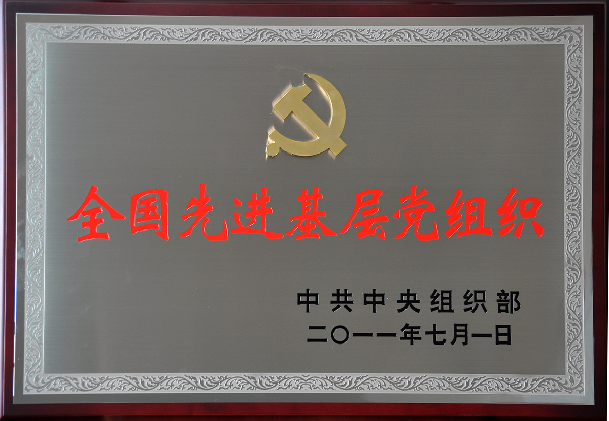 2011年7月，永乐高集团党委荣获“全国先进基层党组织”称号