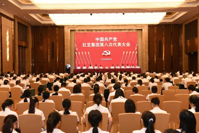 党员代表大会4