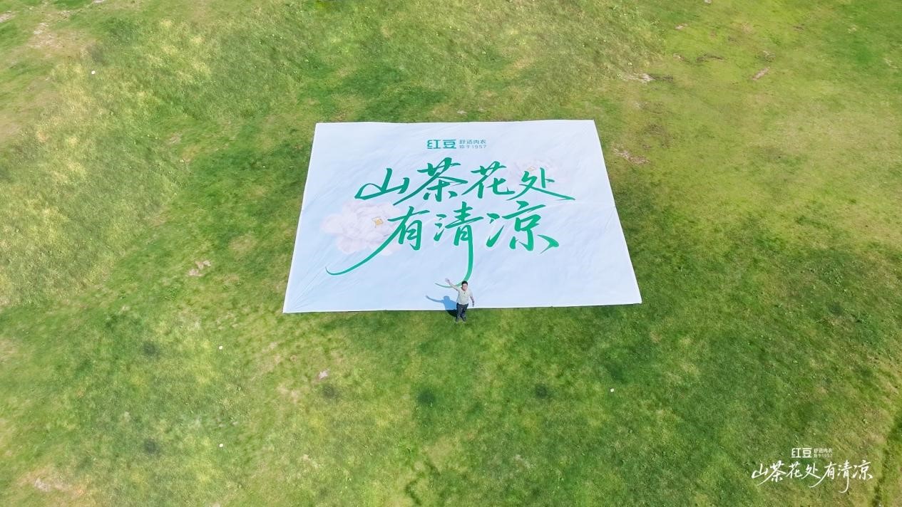 永乐高棉山茶花1